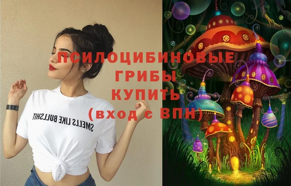 МДПВ Новозыбков