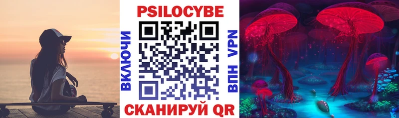 где купить наркотик  Ессентуки  Псилоцибиновые грибы Magic Shrooms 